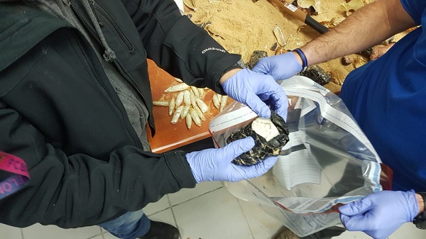 שני גברים נעצרו בחשד להברחת סם מסוג קריסטל צילום: דוברות המשטרה שני גברים נעצרו בחשד להברחת סם מסוג קריסטל