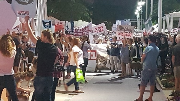 צעדה למען בעלי חיים בנתניה | תמונה : ניר גרינברג כ-300 משתתפים בצעדה השנייה למען בעלי חיים 