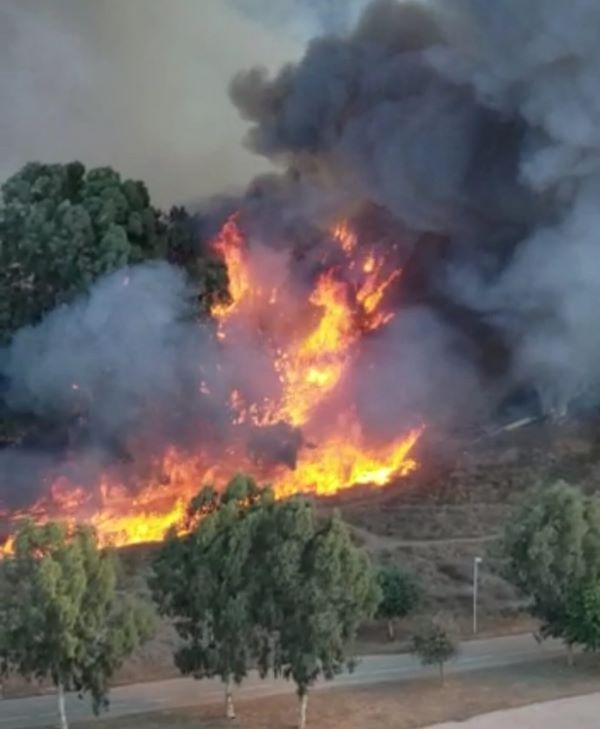 שריפה בפארק שלולית החורף  שריפה בפארק השלולית בנתניה. אין נפגעים