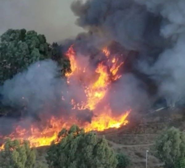 חדשות מקומיות - שריפה בפארק השלולית בנתניה. אין נפגעים