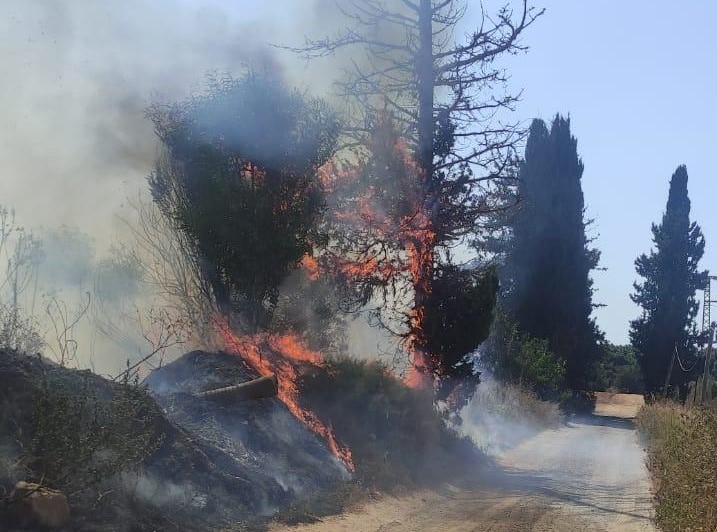 חדשות מקומיות - שריפה גדולה פרצה כפר יונה